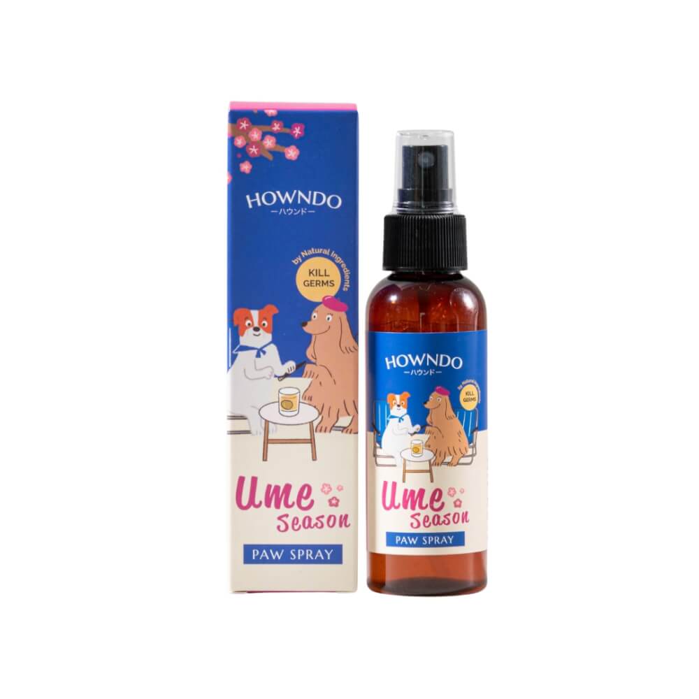 สเปรย์กำจัดเชื้อโรค HOWNDO สูตรอ่อนโยน 100 มล.